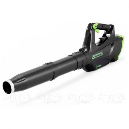 Воздуходувка аккумуляторная GreenWorks GC82BLK5  в Самаре