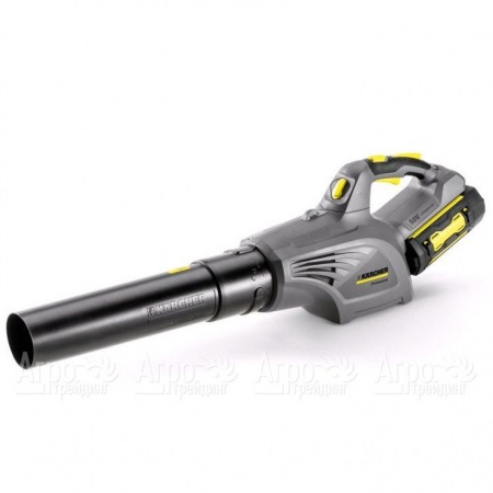 Воздуходувка аккумуляторная Karcher LB 850 Bp в Самаре