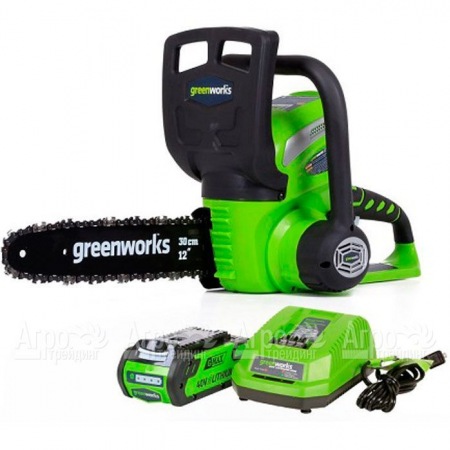 Аккумуляторная пила GreenWorks G40CS30II-12" 2 Ач в Самаре