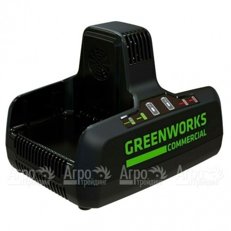 Быстрое зарядное устройство GreenWorks G82C2  в Самаре