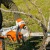 Аккумуляторная пила Stihl MSA 220 C-BQ-14" (без аккумулятора и зарядного устройства) в Самаре